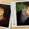 Harry Potter / Daniel Radcliffe
